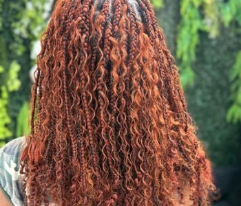 WhatsApp Image 2026-01-20 at 12.07.55 PM