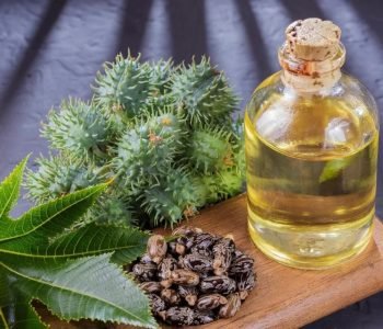 WhatsApp Image 2026-01-22 at 6.36.45 AM